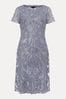 Phase Eight Bea Embroidered Dress