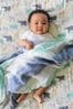 Aden + Anais Green Large Silky Soft Muslin Expedition Blankets 3-Pack