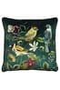 Evans Lichfield Multicolour Midnight Garden Birds Piped Velvet Cushion