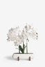 White Extra Large Real Touch Orchid In White Pot With Wooden Stand