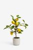 Green Artificial Lemon Tree In Concrete Pot