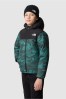 Grey The North Face Boys Never Stop Exploring Jacket