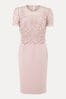 Phase Eight Pink Petite Isabella Lace Dress