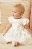 Lipsy Baby Puff Sleeve Occasion Dress