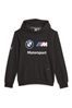 Puma BMW M Motorsport Youth Essentials Hoodie