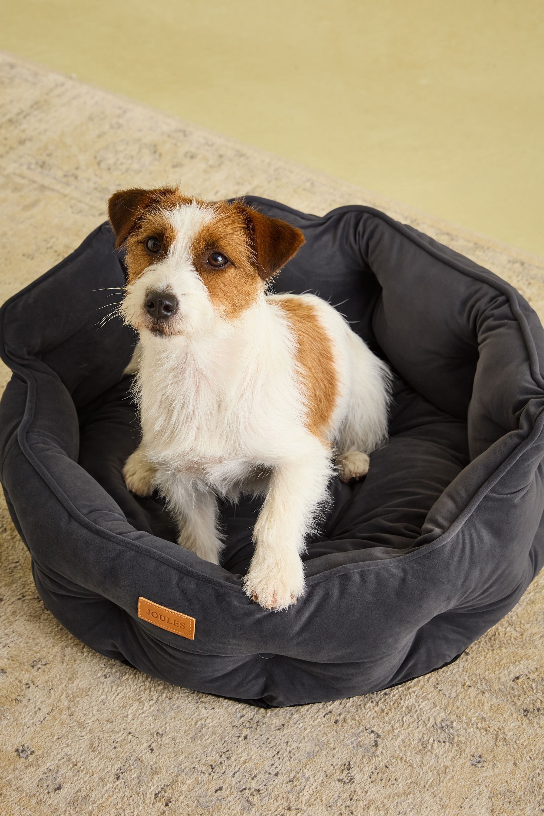 Joules Grey - Chesterfield Pet Bed