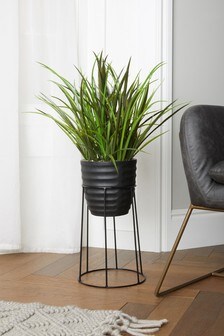Black Artificial Grass Plant in Stand
