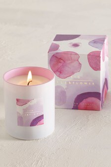 Purple Fig & Elderflower Boxed Scented Candle (115233) | £7
