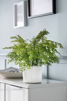 Green Artificial Fern Plant In White Ceramic Pot