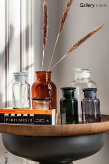 Gallery Home Clear Set of 3 Apotheca Jar
