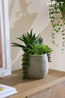 Green Artificial Succulent Plants In Grey Face Pot