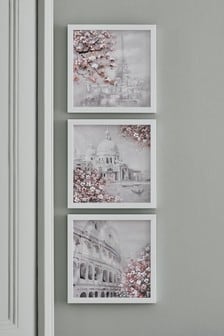 Set of 3 Blossom City Frames