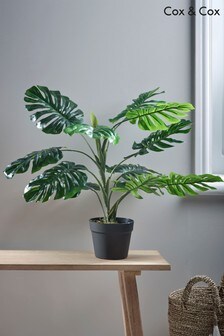 Cox & Cox Green Potted Faux Monstera
