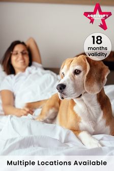 Dog Friendly Hotel Stays Gift Experience by Activity Superstore
