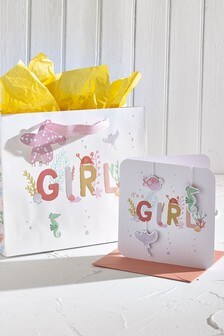 Pink Gift Bag & Card Bundle (257413) | £4
