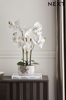 White Artificial Orchid In Silver Pot (266756) | £32