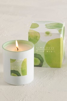 Green Lime Zest and Wild Mint Boxed Scented Candle (357699) | £7