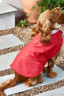 Red Dog Rain Coat