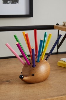 Brown Hedgehog Pen Holder