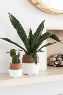 Wood Artificial Plant in Wood Effect Pot