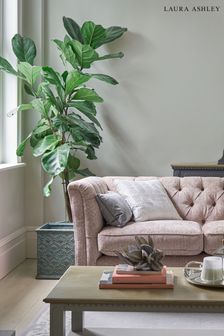 Pale Sage Leaf