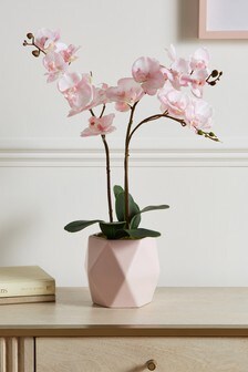 Pink Artificial Orchid In Ceramic Pot
