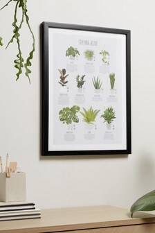 Plant Care Guide Framed Print
