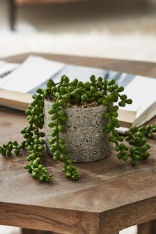 Green Artificial Trailing Succulent In Grey Pot (685526) | £14