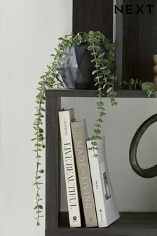 Charcoal Grey Artificial Trailing Plant In Geo Ceramic Pot (874709) | £18