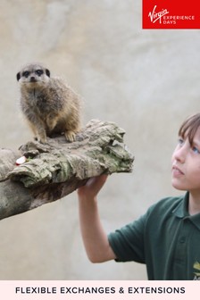 Virgin Experience Days Meet And Feed The Meerkats At Millets Falconry Gift