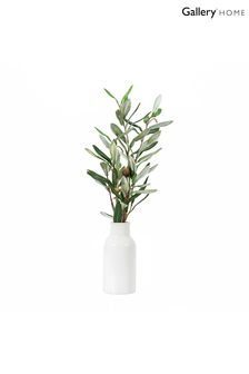 Gallery Home White Vase with Olive Stems