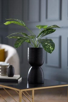 Black Artificial Calathea Plant In Pot