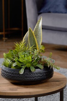 Artificial Succulent Plants In Pot