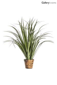 Gallery Direct Artificial Large Dracaena In Pot
