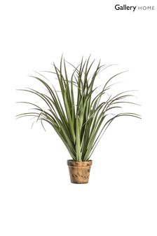 Gallery Home Green Artificial Dracaena In Pot