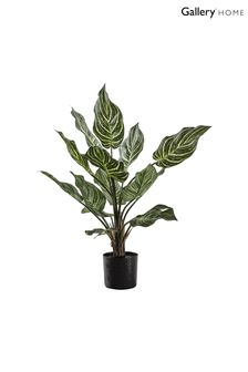 Gallery Direct Green Artificial Calathea Plant In Pot