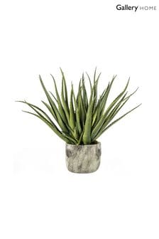 Gallery Direct Green Artificial Wide Leafed Aloe Plant In Pot
