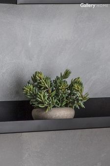 Gallery Home Green Artificial Small Green Sedum Plant In Cement Bowl Artificial Flowers