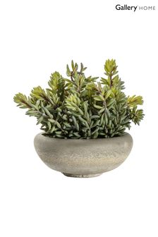 Gallery Home Green Artificial Large Sedum Plant In Cement Bowl Artificial Flowers