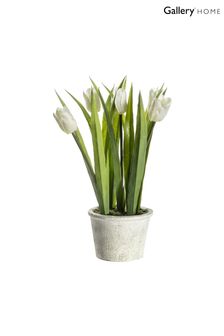 Gallery Direct White Artificial White Tulips In Pot Artificial flowers