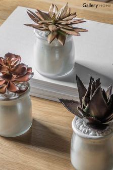 Gallery Direct Set of 3 Natural Artificial Succulents In Metallic Pots Artificial Flowers