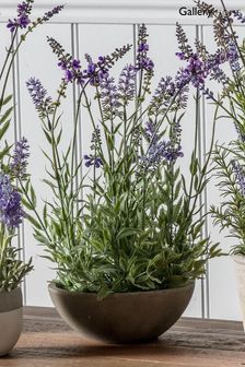 Gallery Home Green Artificial Lavender Plant In Small Bowl Artificial Flowers