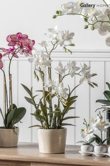 Gallery Direct White Artificial Cycnoches Orchid In Pot
