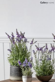 Gallery Direct Green Artificial Lavender Plant In Grey Ombre Pot