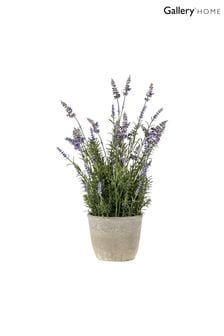 Gallery Home Green Artificial Medium Lavender Plant In Cement Pot