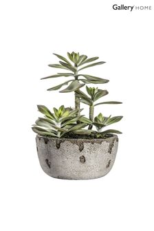 Gallery Direct Green Artificial Kalanchoe Plant In Rustic Pot