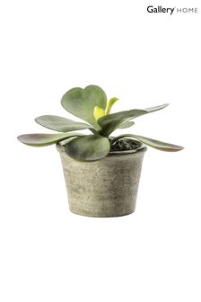 Gallery Home Green Artificial Kalanchoe Plant In Pot