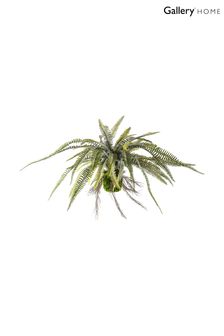 Gallery Direct Green Artificial Bostern Fern Hanging Plant