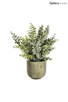 Gallery Home Green Artificial Large Eucalyptus In Weathered Pot