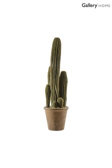 Gallery Direct Green Artificial Large San Pedro Cactus
